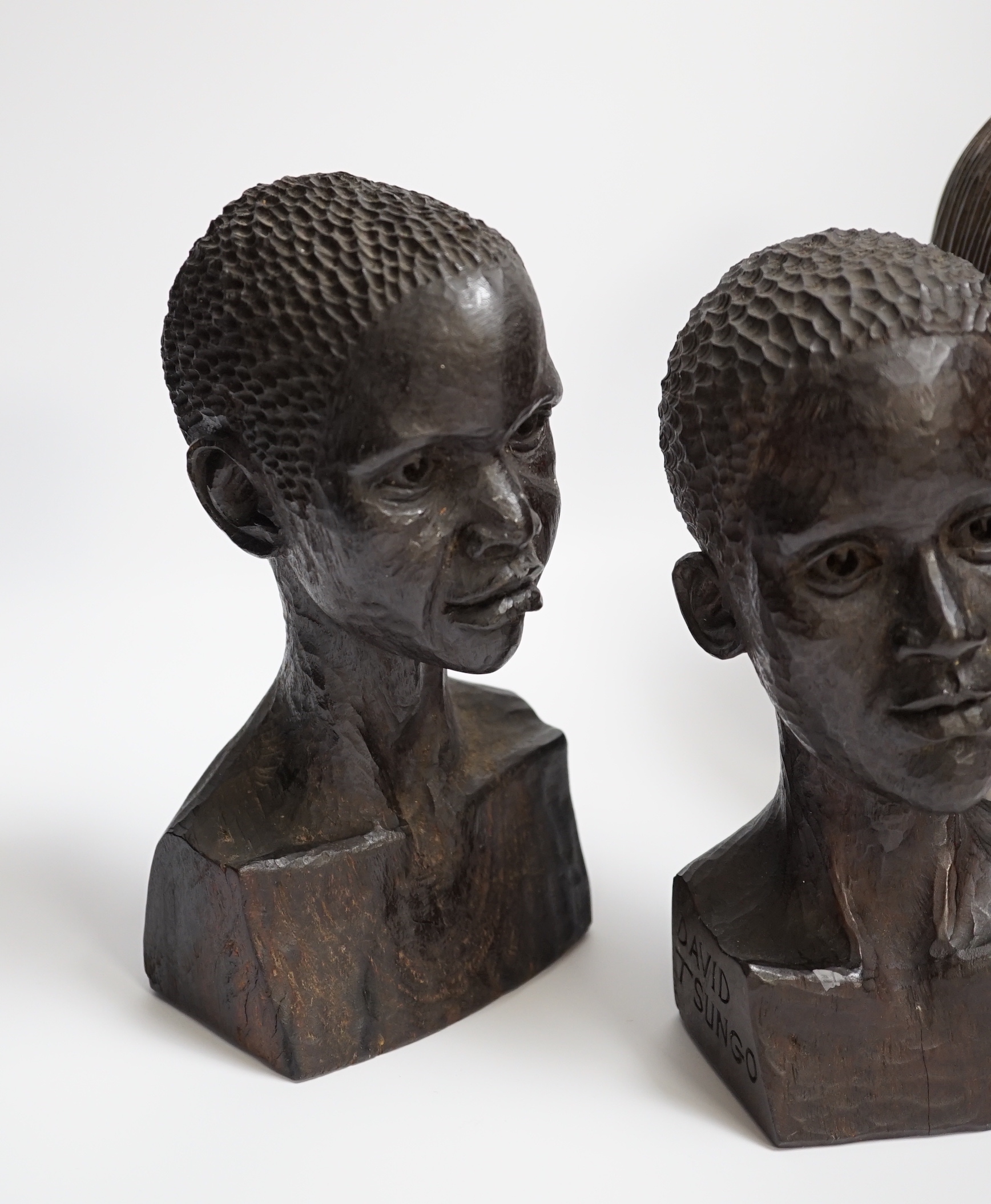 Three carved ebony African busts, tallest 23cm